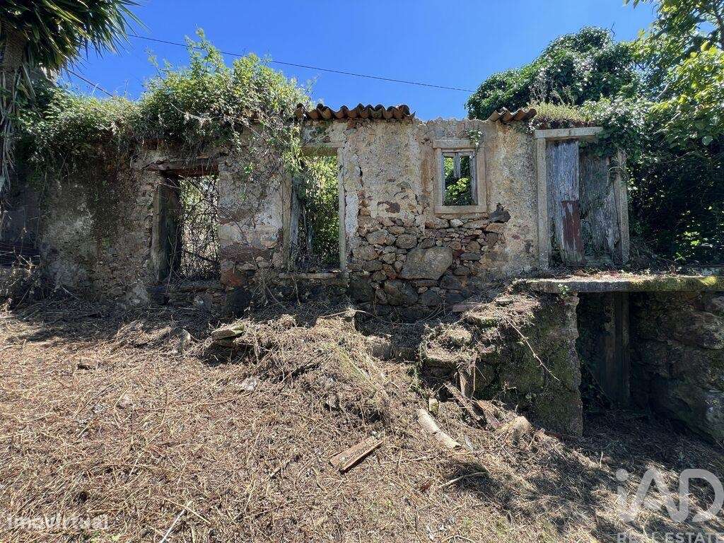 Casa / Villa em São Miguel, Santa Eufémia e Rabaçal de 144,00 m2 - Grande imagem: 4/28