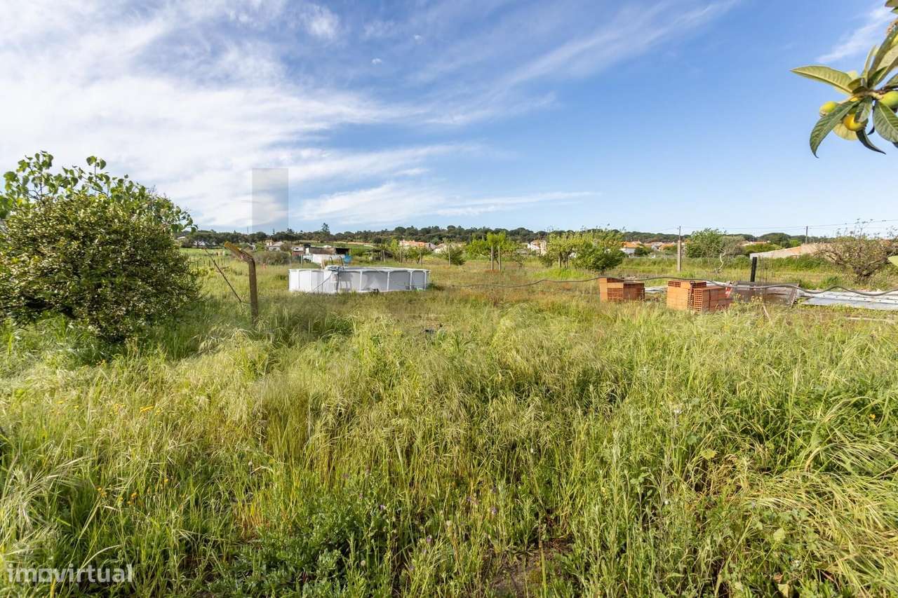 Moradia T2  com Garagem  e anexos inserida num lote de 1500 m2 de ter-47