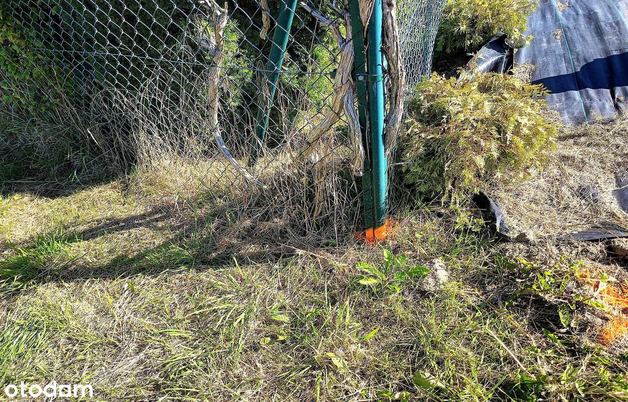 Działka budowlana przy krajówce, Płoskie - Pełny obrazek: 5/15