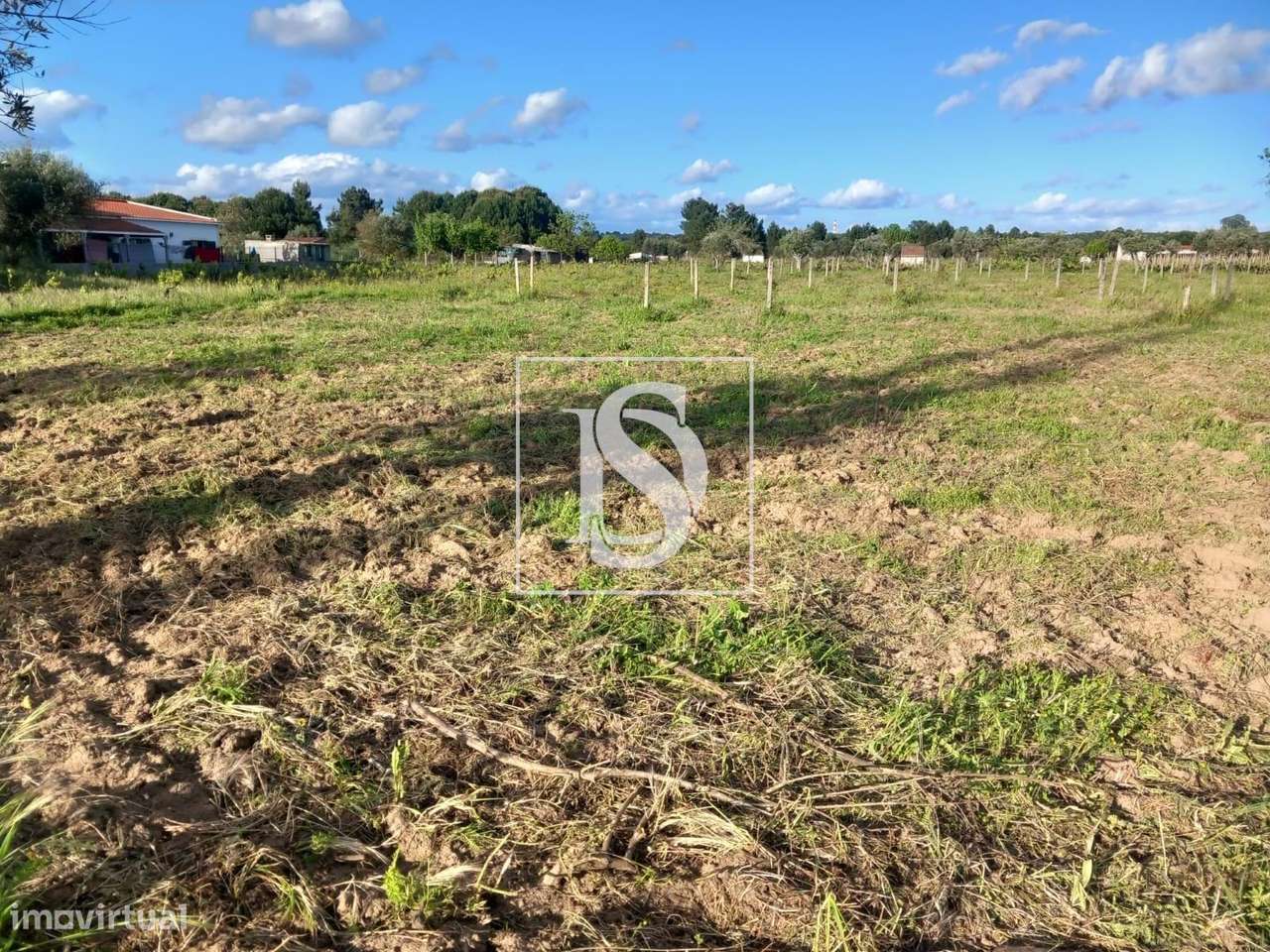 Terreno Para Construção - Abrantes - Rossio - Grande imagem: 3/3