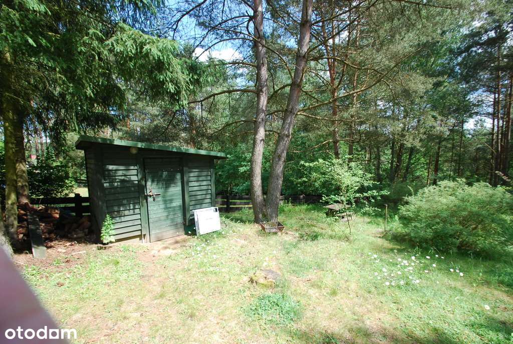 Urokliwy domek w środku lasu - Moczydło-15