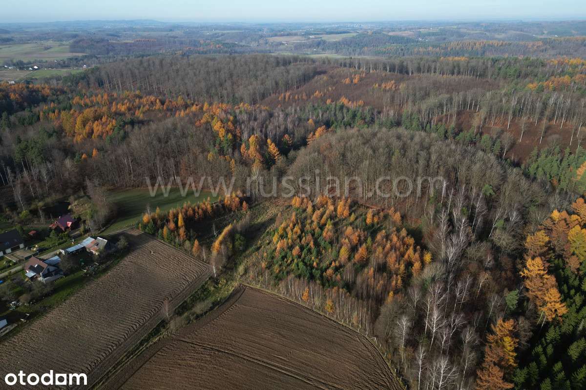 Domowe zacisze ! - Pełny obrazek: 4/4