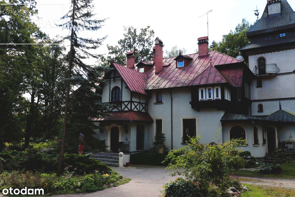 Zabytkowy pałacyk z wieloma możliwościami - Pełny obrazek: 5/18