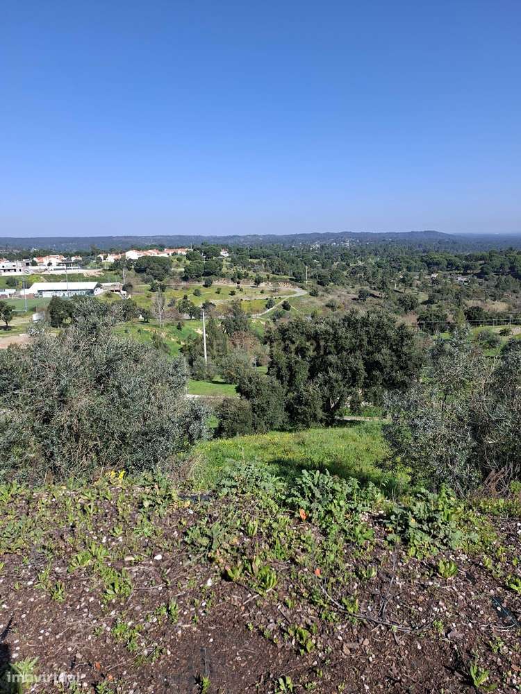 Oportunidade – Lote de Terreno em Montargil-1