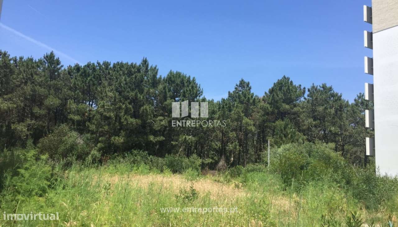 Venda de Lote para construção, Amorosa, Chafé, Viana do Castelo - Grande imagem: 4/25