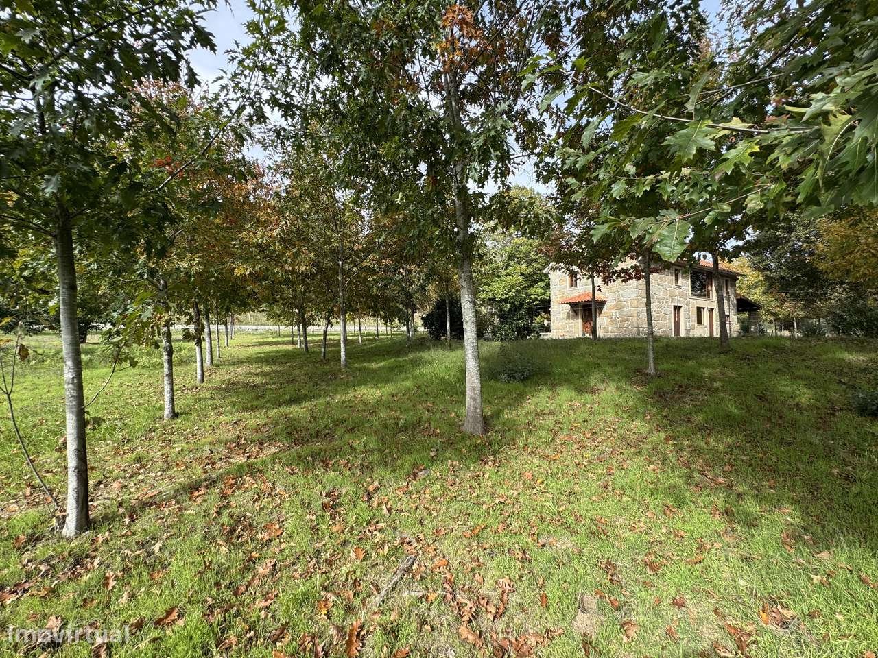 Moradia, 140 m², Molelos-49