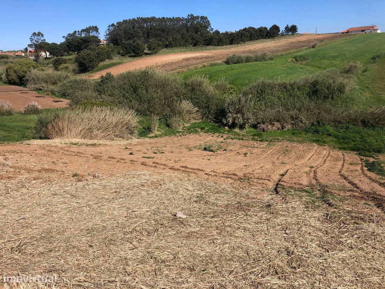 Vende-se Terreno Rustico Em Vale Medo - Lourinhã - Grande imagem: 5/14