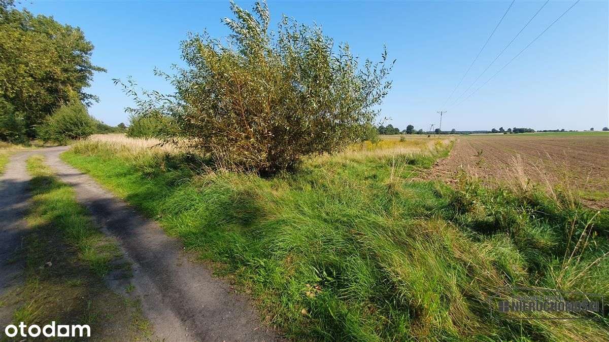 Bielikowo - działka na raty - około 20 minut od Ba-14