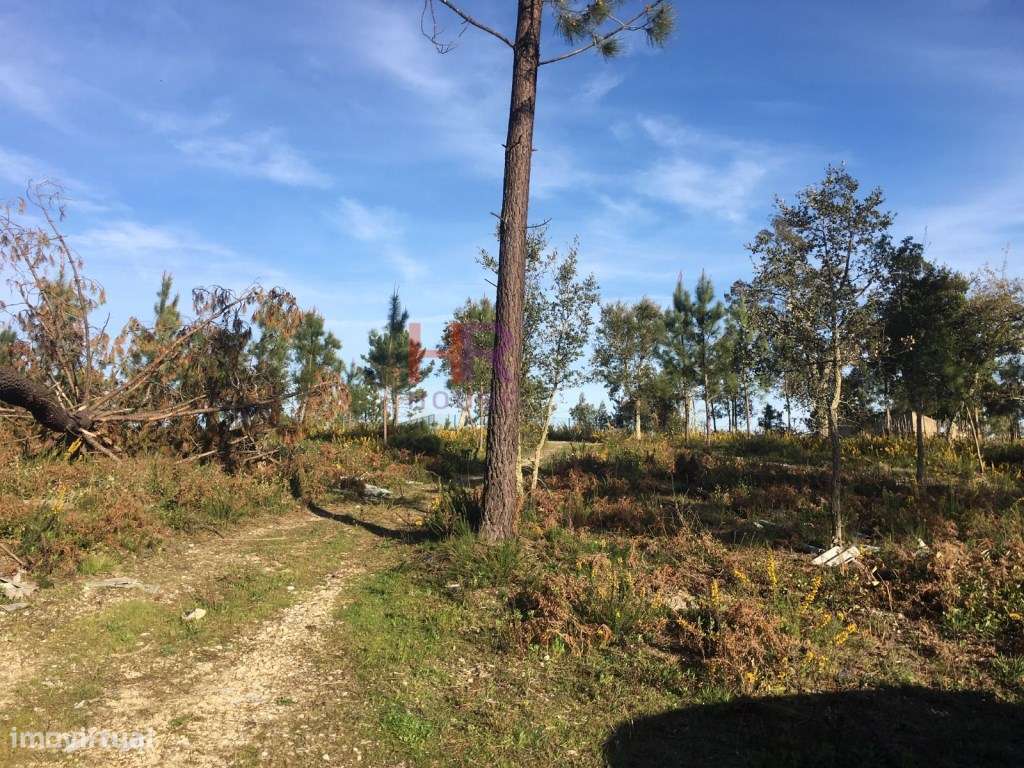 Terreno Misto - Grande imagem: 2/9