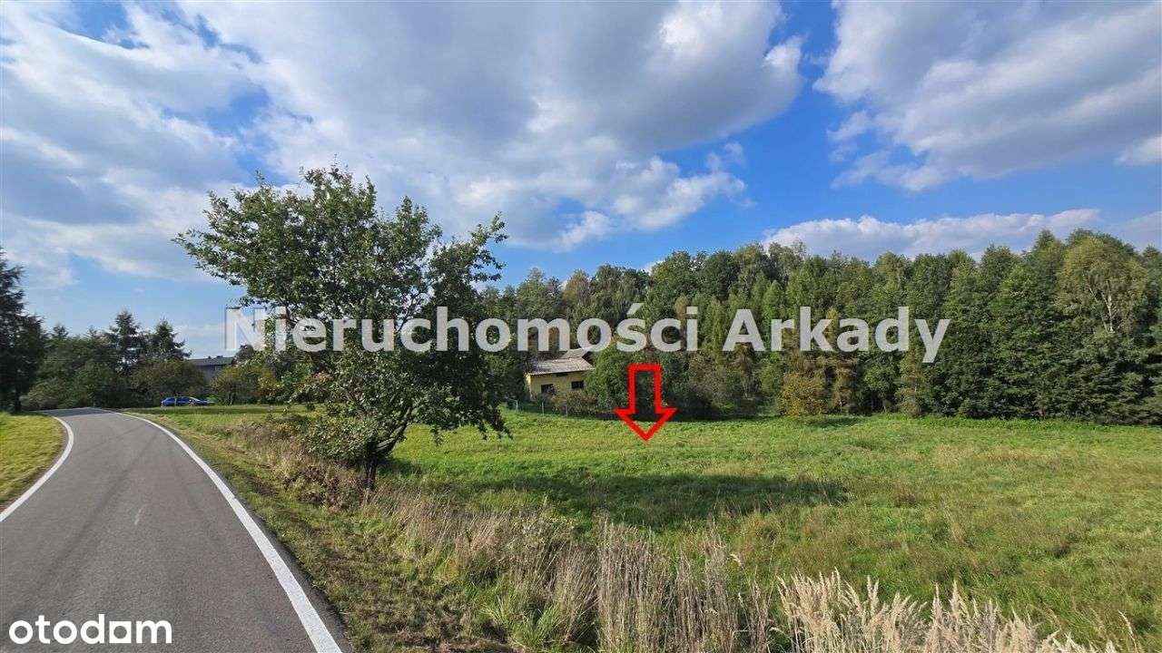 Piękna działka pod lasem-12