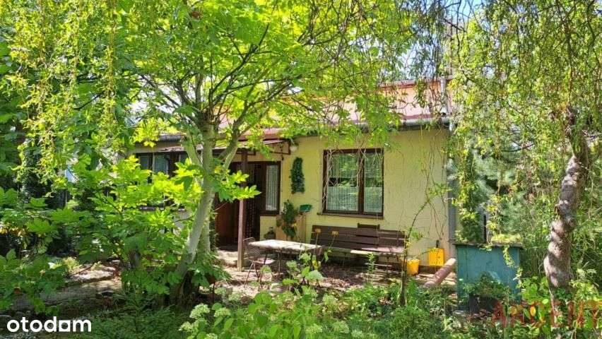 Działka w Brwinowie bliżej Podkowy Leśnej-3