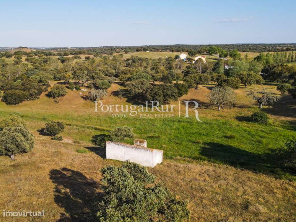 Herdade com 22,62 ha confinante com barragem - Grande imagem: 2/50