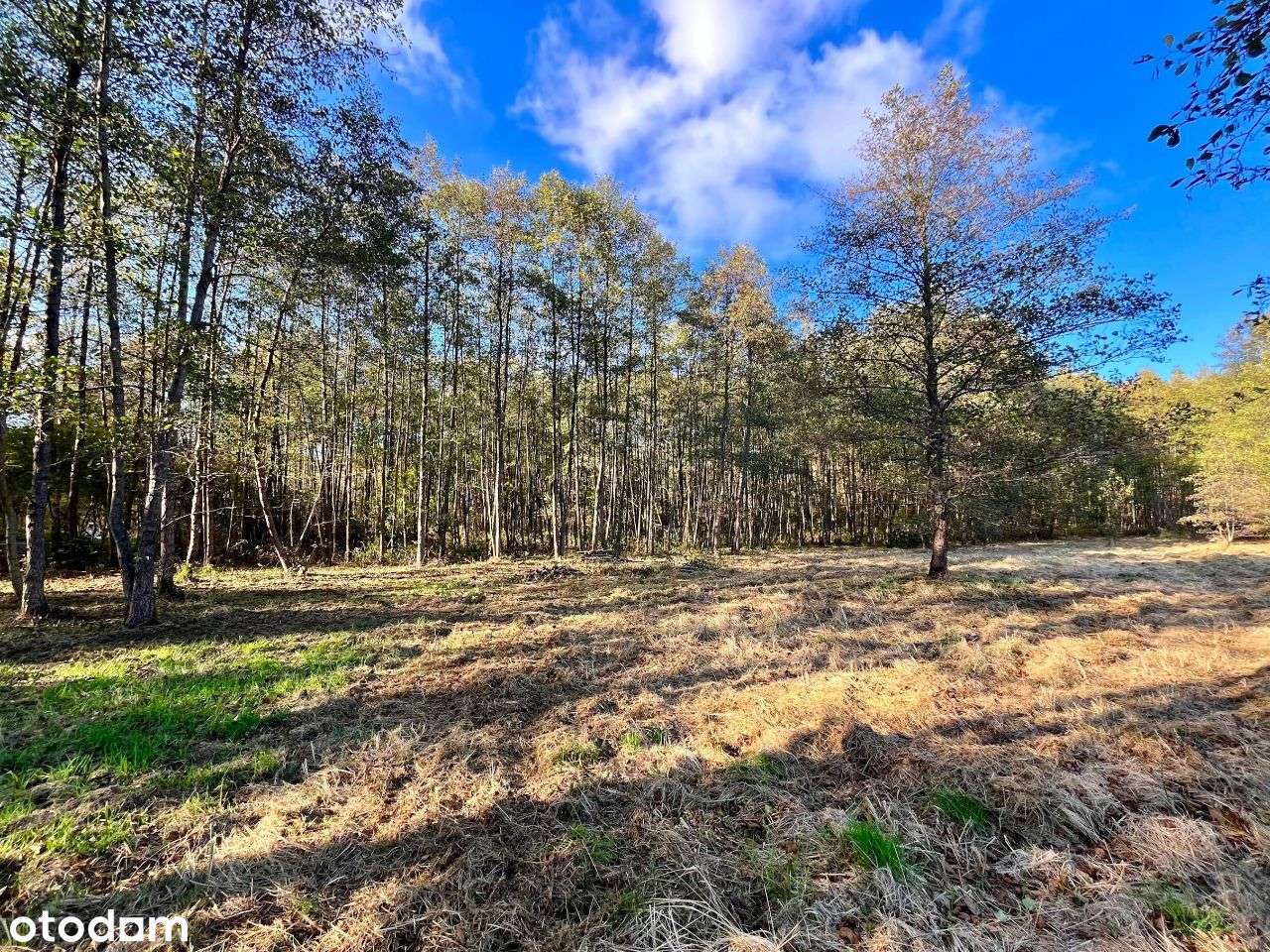 Gertrudów - działka budowlana - gmina Gomunice-7