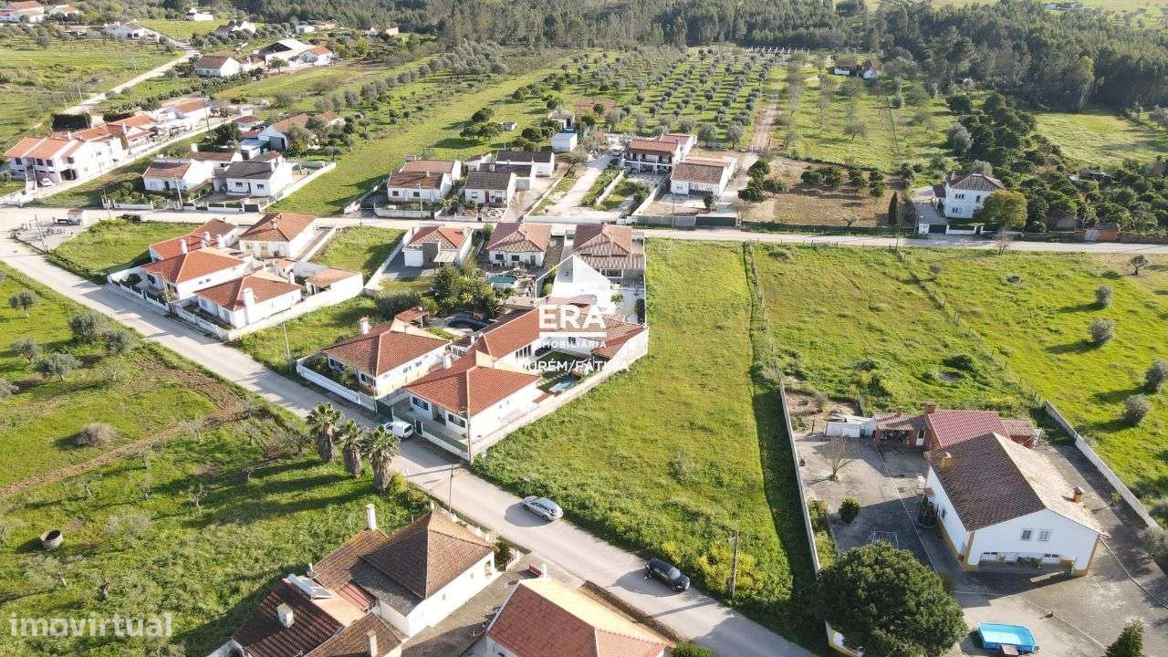 Lote localizado perto de Torres Novas - Grande imagem: 5/21