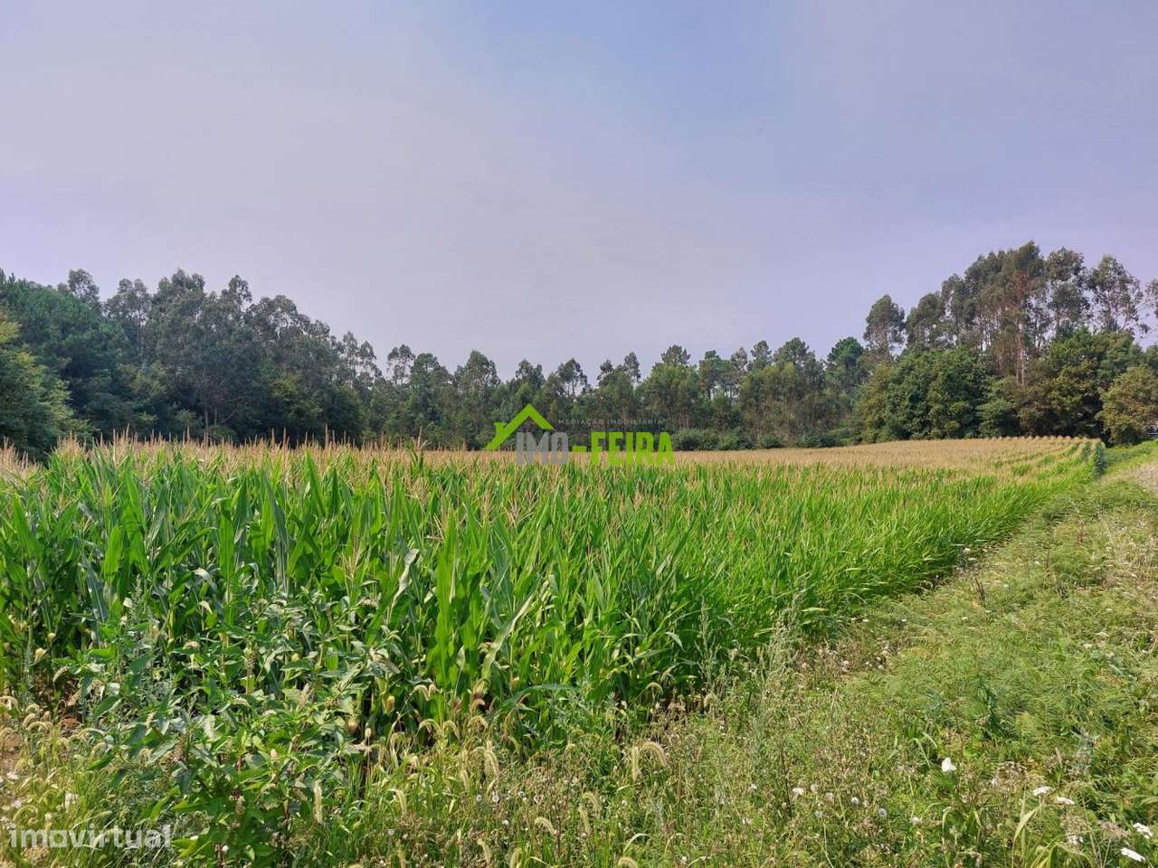 Terreno com PIP aprovado,  Santa Maria da Feira - Grande imagem: 3/12