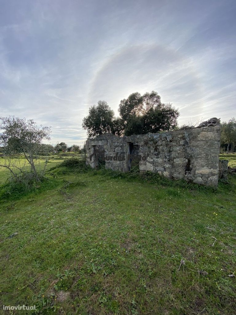 Quinta com casa em pedra