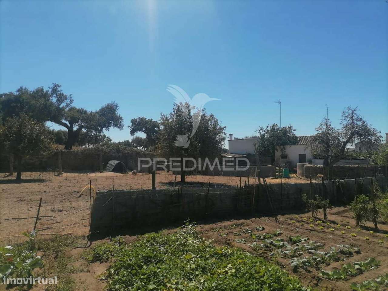 Terreno - Grande imagem: 3/6