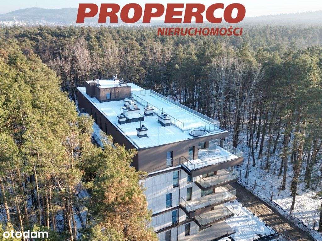 Mieszkanie 37m2, Park Sosnowy, Stadion Leśny - Pełny obrazek: 2/5