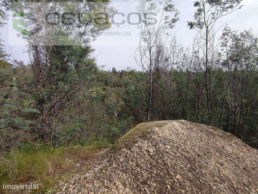 Terreno com vistas panorâmicas - Palvarinho - Grande imagem: 4/10