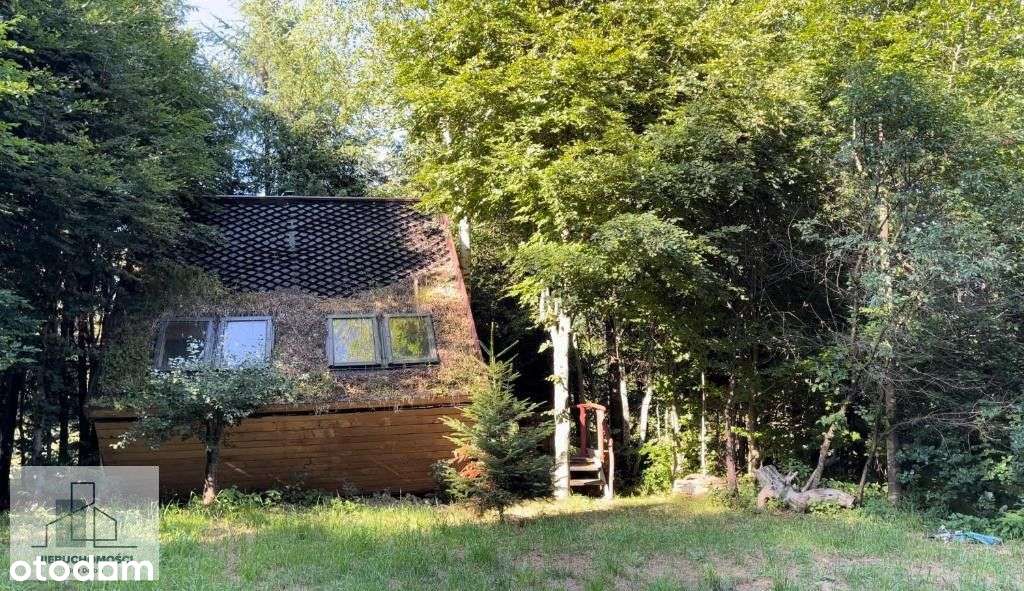 Dom gościnny w Bieszczadach - działający biznes,21-5