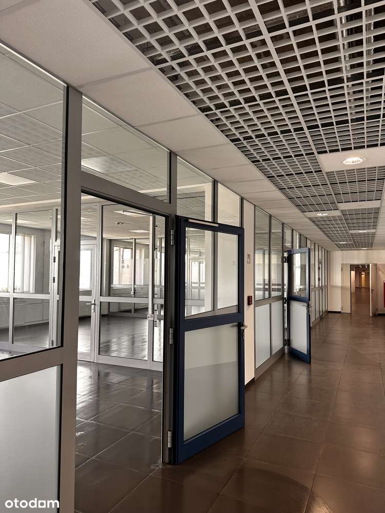 BIURA do wynajęcia 23-50m2 (łącznie 410m2) Park Przemysłowy ELANA - Pełny obrazek: 3/12