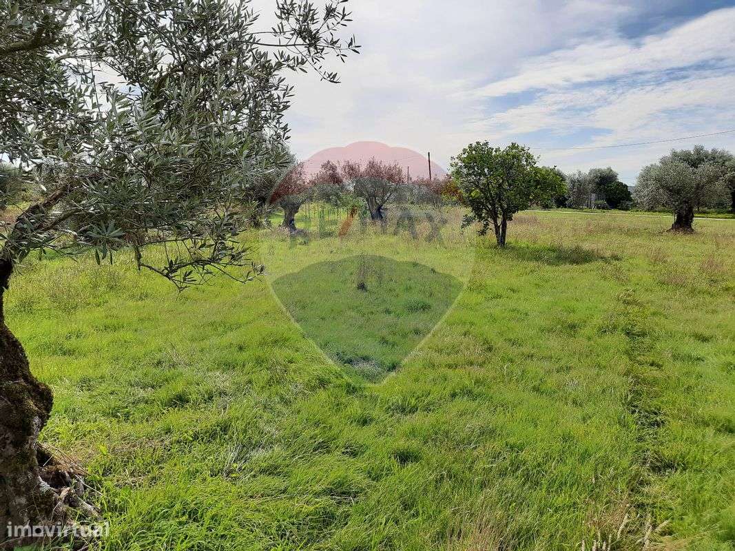 Terreno  para venda - Grande imagem: 3/10