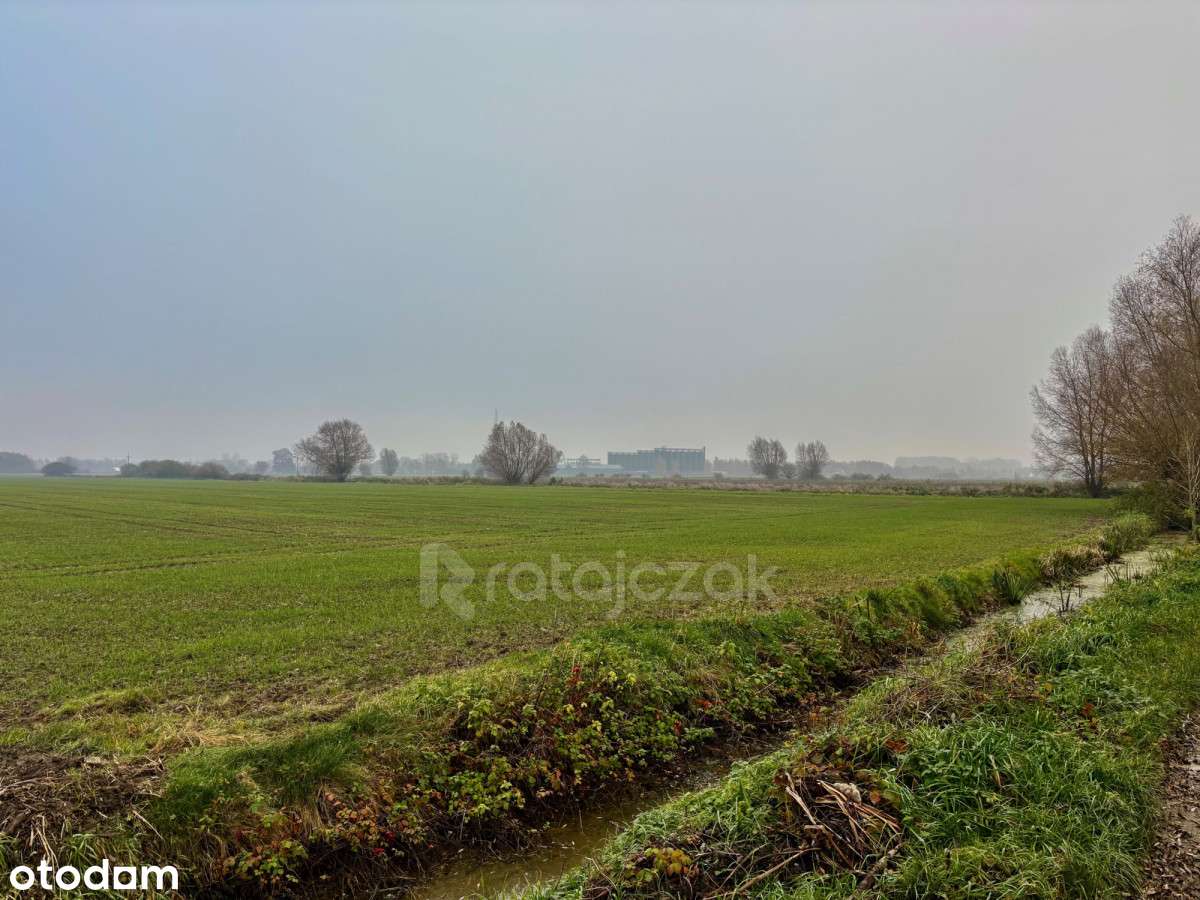 Sprzedam 3 działki budowlane z warunkami zabudowy - Pełny obrazek: 4/16