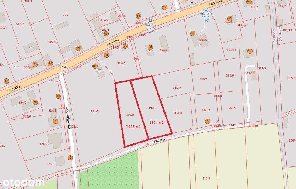 Spalona- 2 działki budowlane - Pełny obrazek: 1/7