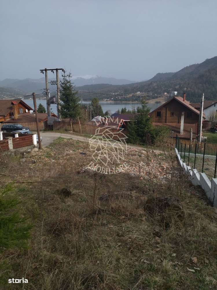 Teren intravilan 1615 mp-ideal cabane turism-Colibita - Imagine principală: 4/7