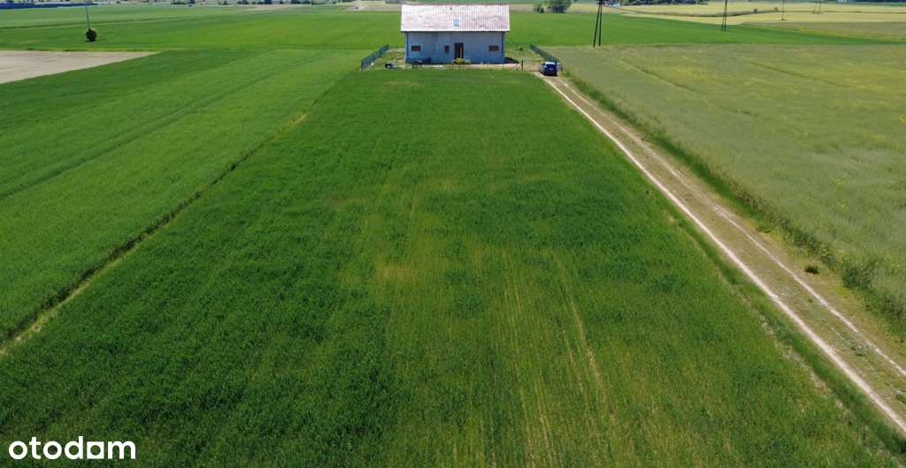 Działki budowlane 2×805 m² – Duszniki, media, WZ - Pełny obrazek: 4/4