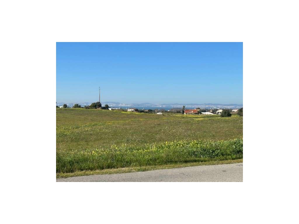 ALCOCHETE - TERRENO RÚSTICO C/ POSSIBILIDADE DE CONSTRUÇÃO - Grande imagem: 5/8