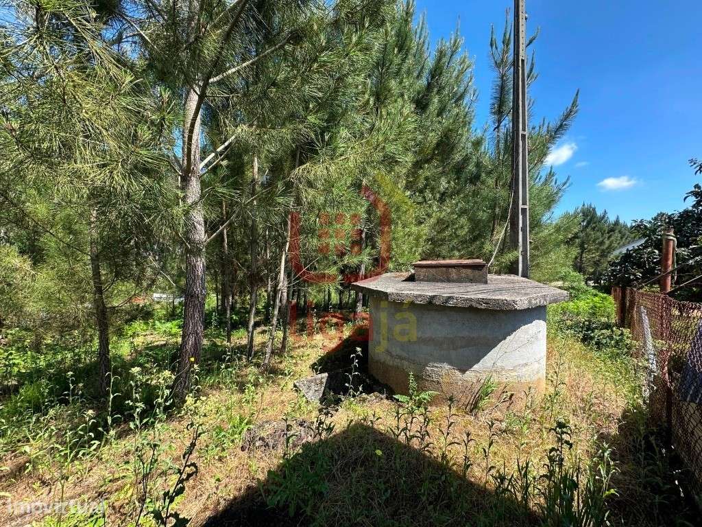 Terreno Com Viabilidade de Construção, Ourém! - Grande imagem: 5/9