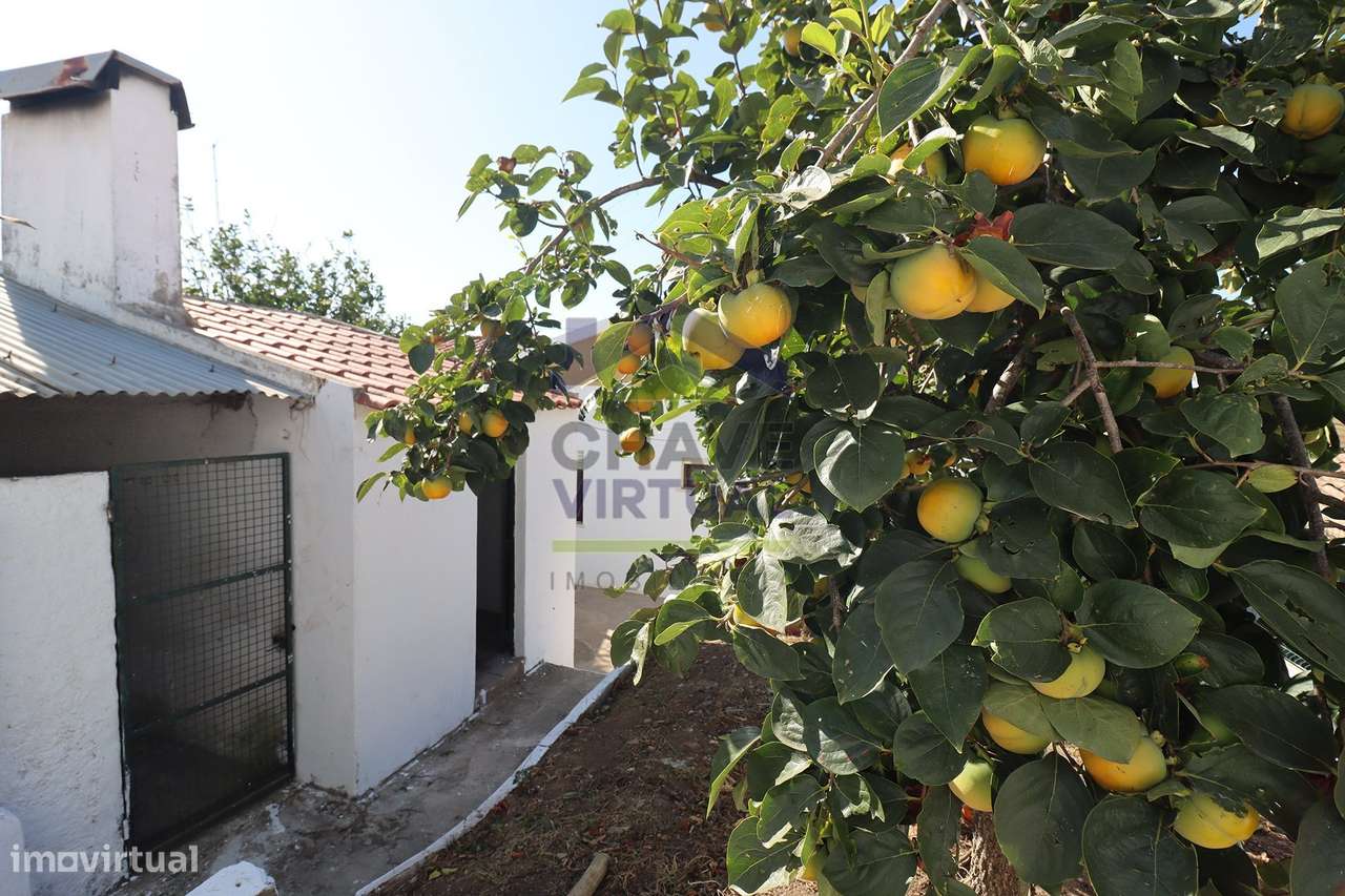 Moradia V3 com garagem e anexo  – Concelho Torres Vedras-29
