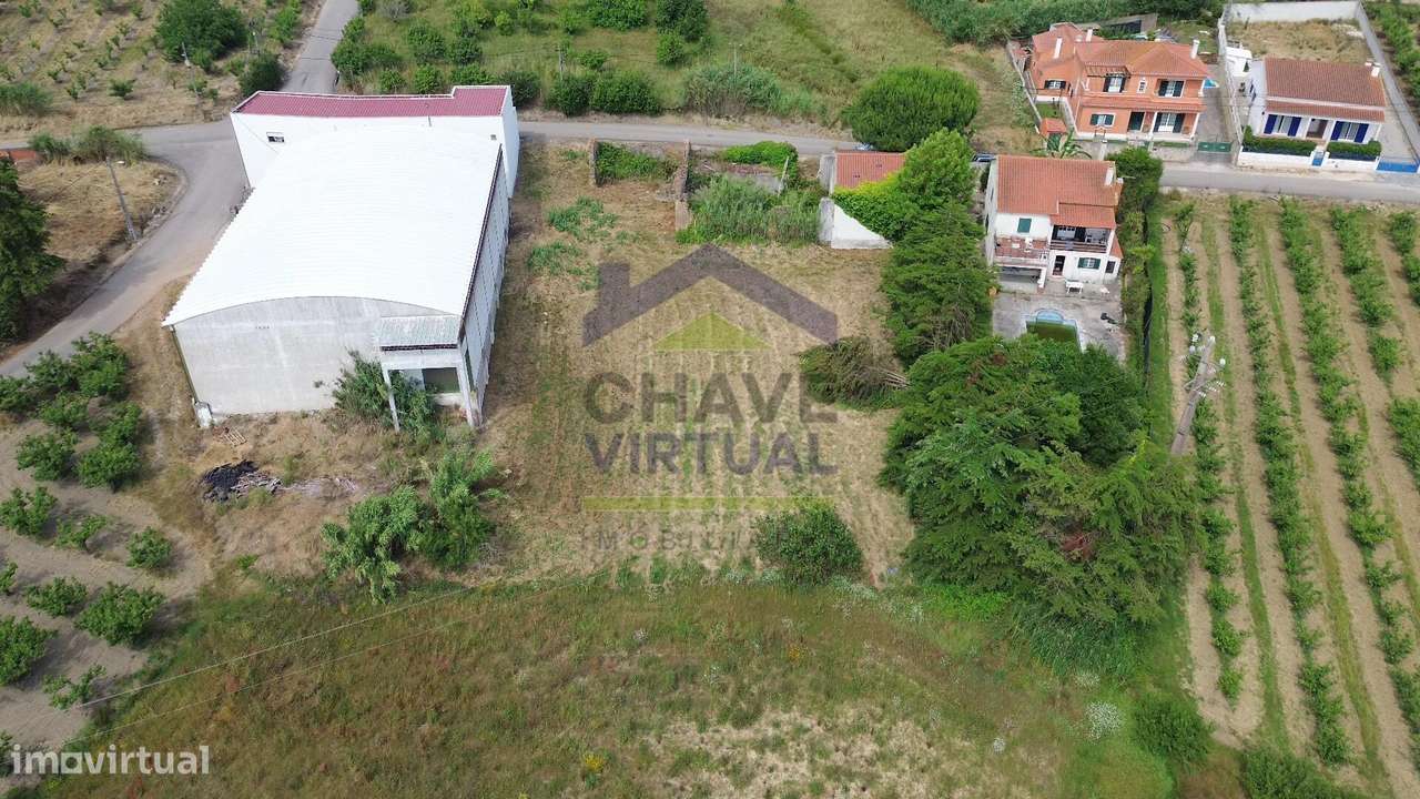 Terreno para Construção Delgada - Bombarral-14