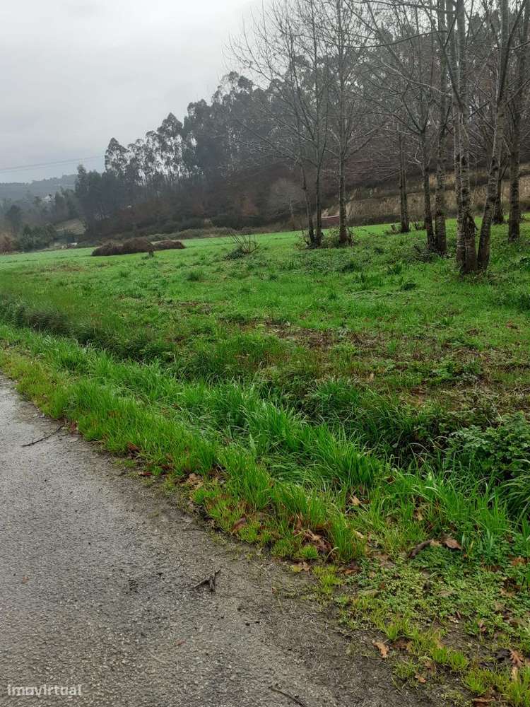 Oportunidade de Negócio | Terreno para Agricultura - Grande imagem: 2/13