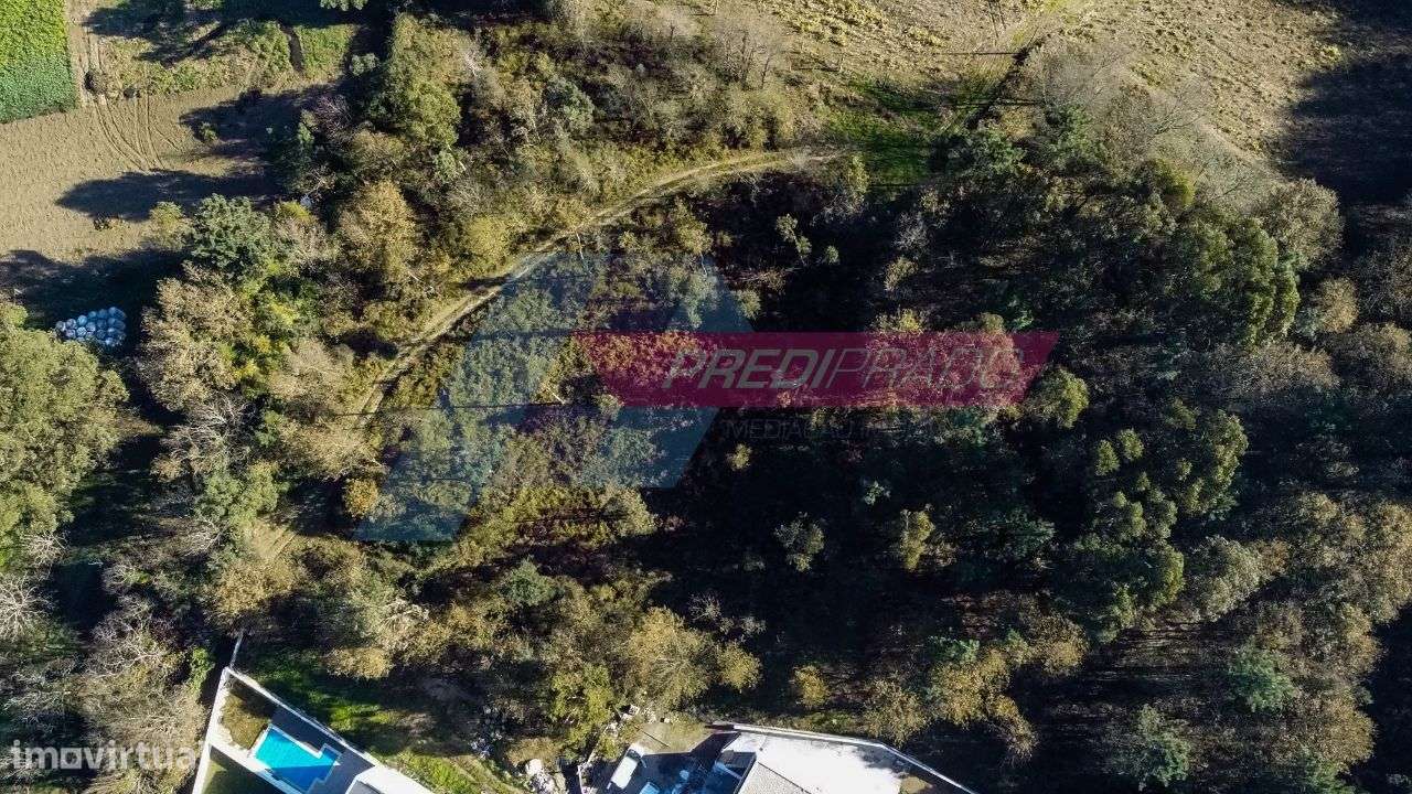 Excelente Terreno em Palmeira, Braga! - Grande imagem: 3/6
