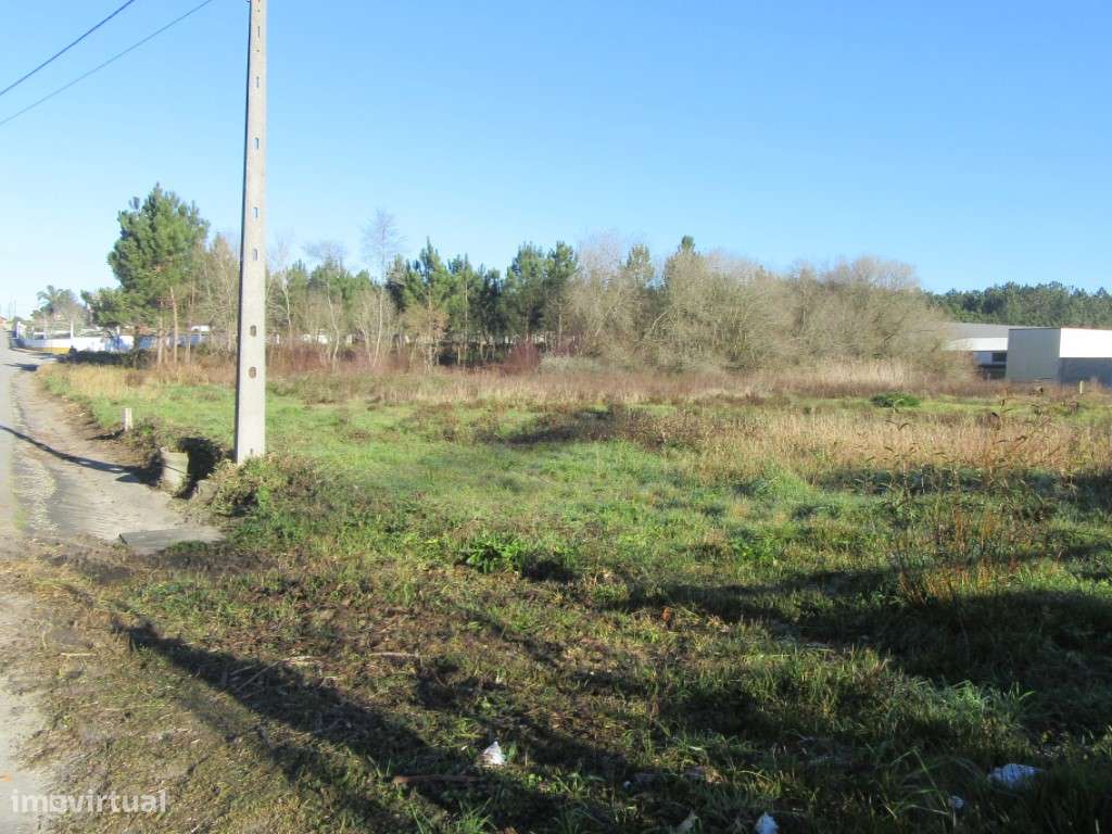 Terreno para construção na zona de Monte Real - Grande imagem: 4/10