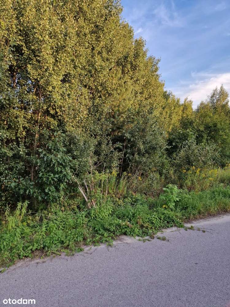 Działka w Stefanówce gm.Tarczyn-2