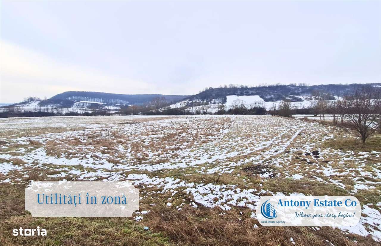 Teren intravilan, de vanzare - Hidiselu de jos , Bihor - Imagine principală: 4/6