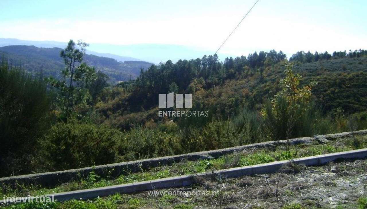 Venda Terreno, Campelo, Baião - Grande imagem: 3/5