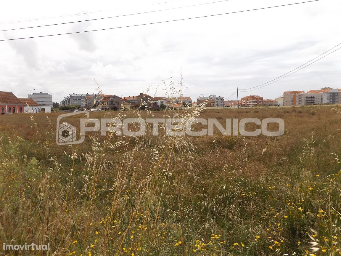 Terreno c/ 12.000m2 - Forca