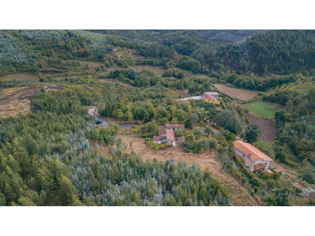 Quinta em Nogueira Paraíso Castelo de Paiva-15