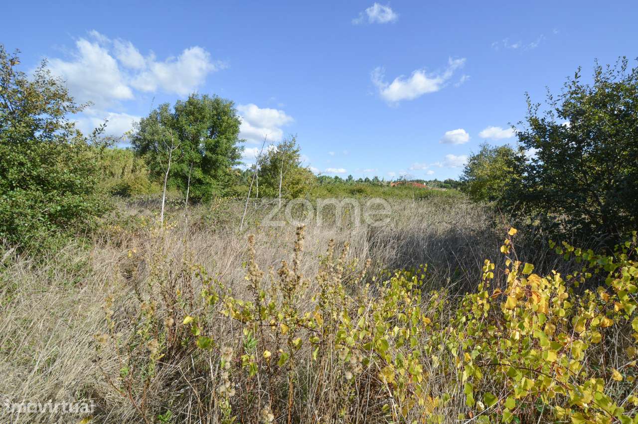 Terreno Pinhal, Alenquer - Grande imagem: 4/8