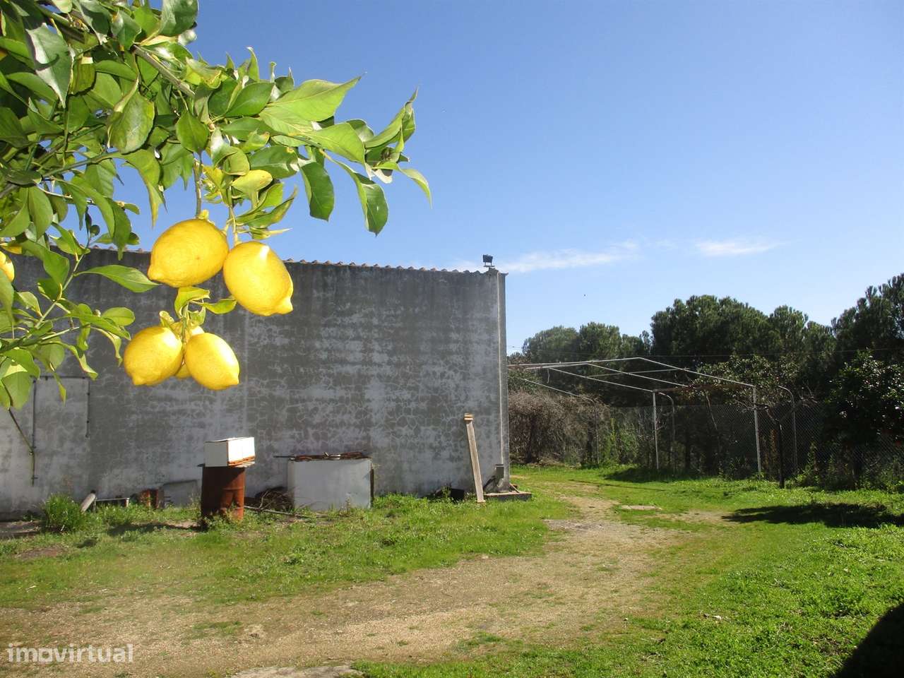 Quinta T0 Venda em Castelo Branco,Castelo Branco-10