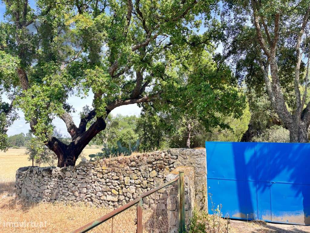 Quinta rural com 9.000m2 em Alcains - Castelo Branco - Grande imagem: 2/20