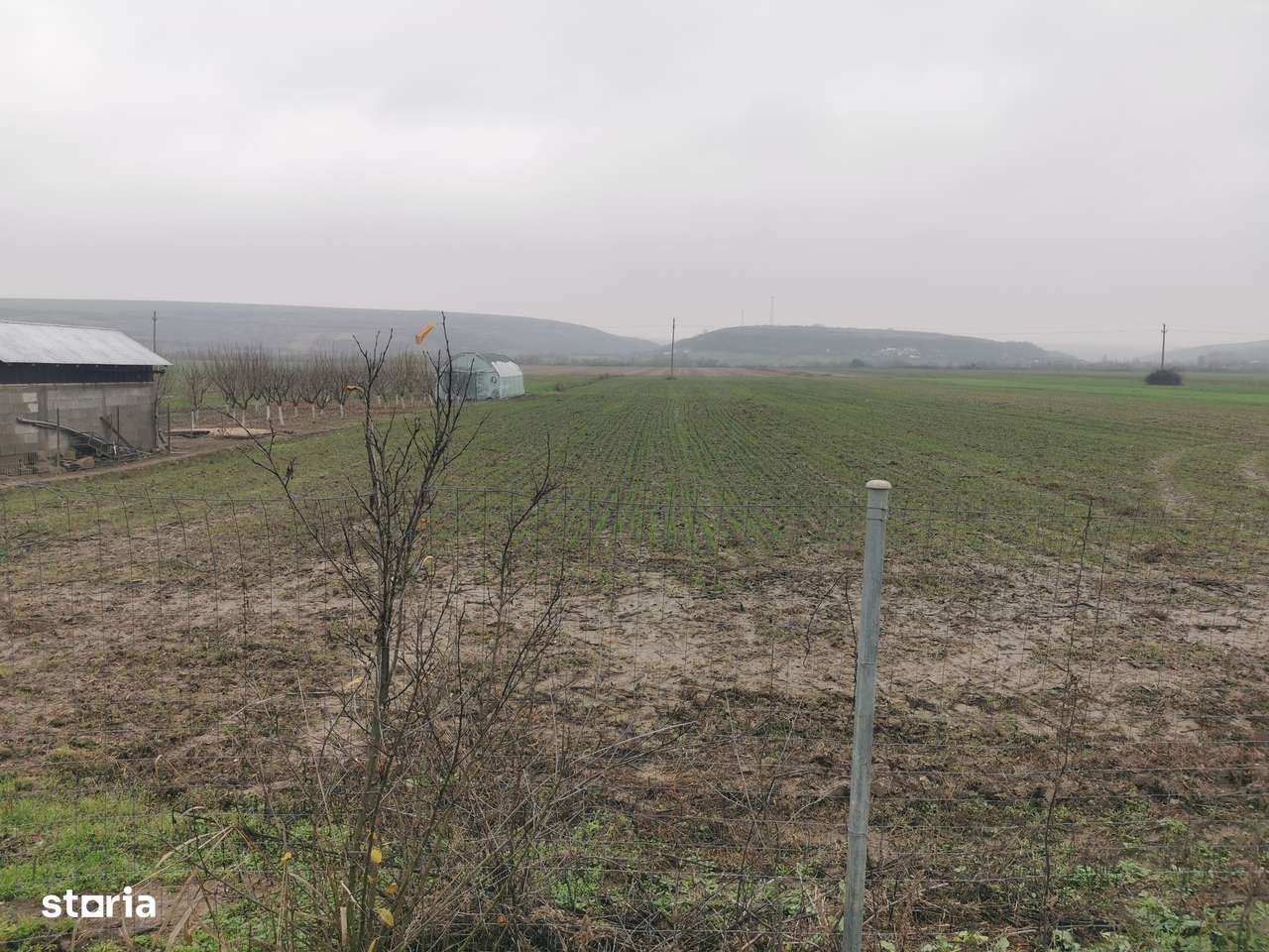 Casă din cărămidă, 6 camere, teren 7000mp, acces asfaltat-7