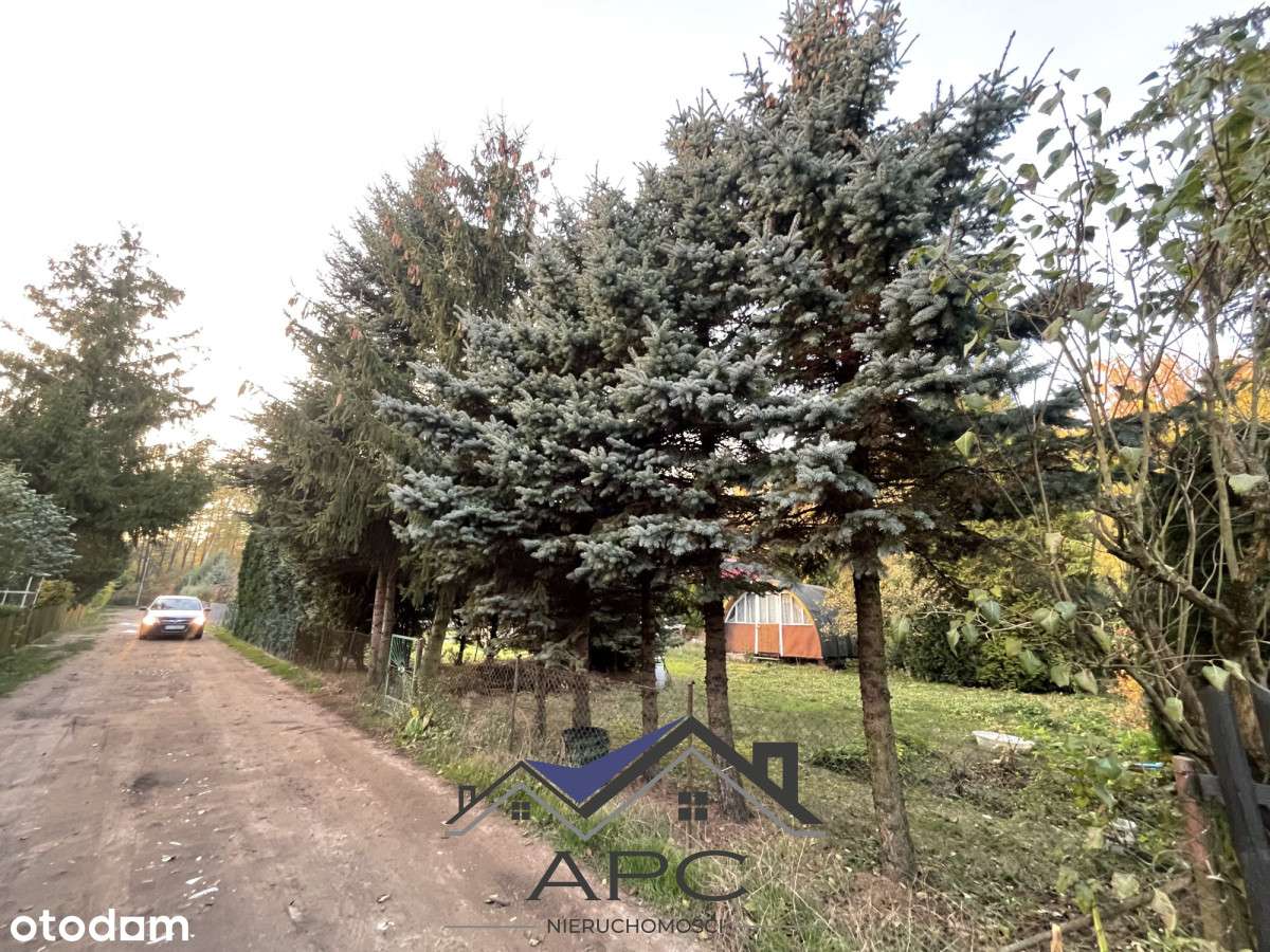 Twój Własny Kawałek Zieleni blisko Poznania-4