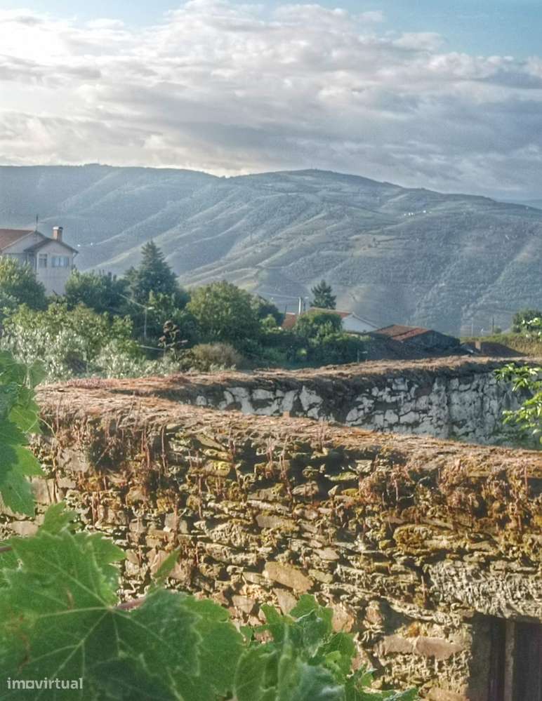 Moradia antiga para recuperação no Douro  Central - Grande imagem: 5/19