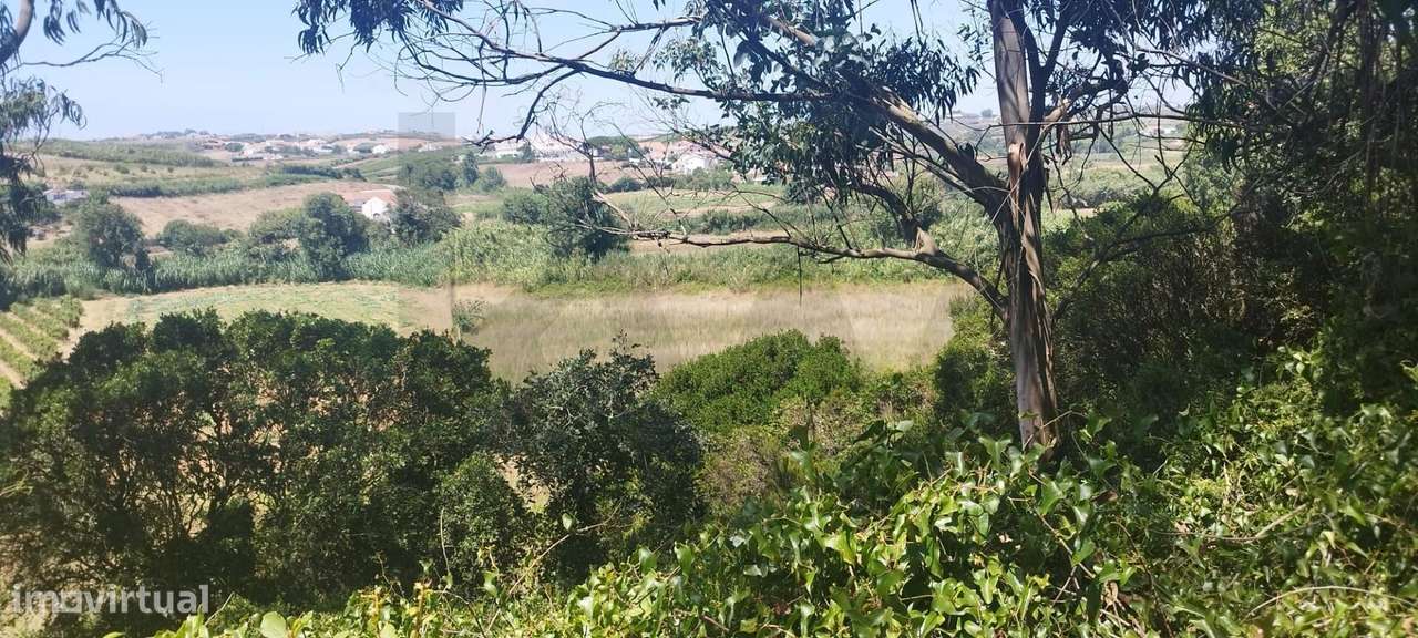Terreno Agrícola para Venda em São Lourenço, Ribamar - Grande imagem: 2/17