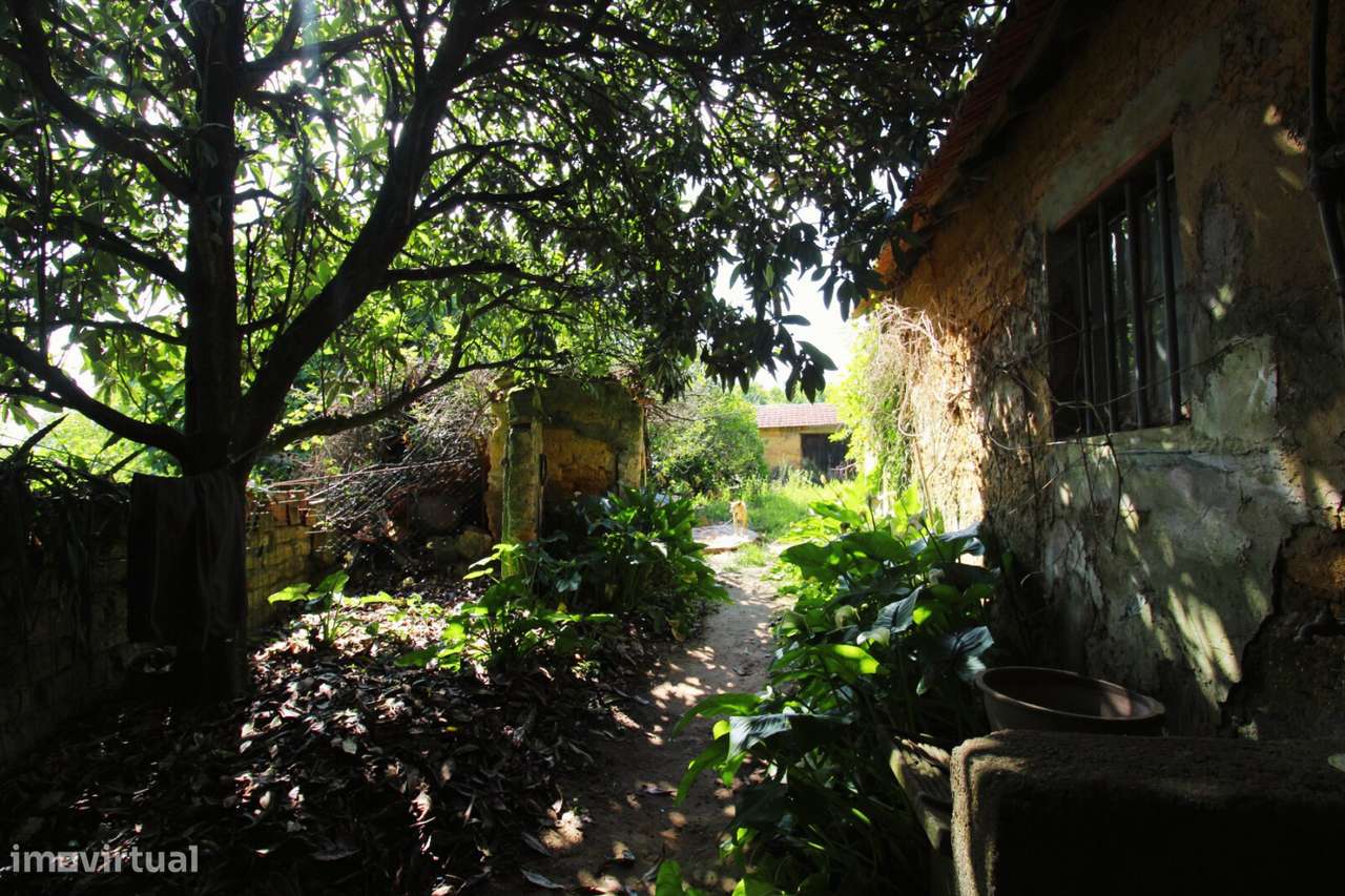 Moradia T3 para reabilitar em Oliveira do Bairro-18